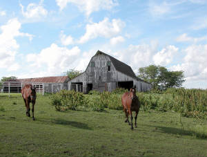 barn22foto.jpg