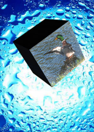 drake3d.jpg